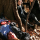 Image for article titled Fringe: “Unleashed”